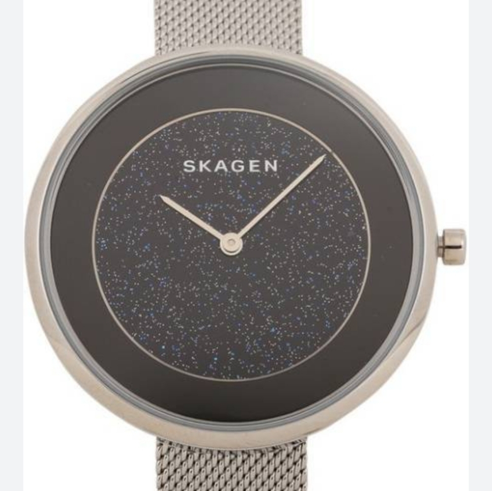 Skagen Watch In Box